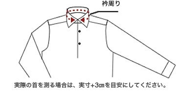 サイズ感 衿まわり