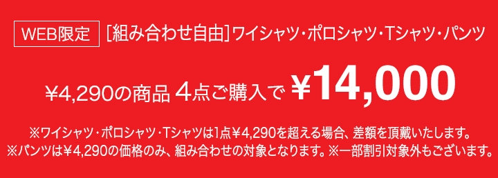 「ビジカジ（ポロシャツ・Tシャツ・ワイシャツ・パンツ）」4点￥14,000