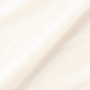 【5分袖】ハイネックブラウス/アイボリー