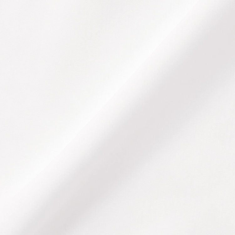 シルバーライン 【SILVER LINE】【半袖】バンドカラーブラウス/ホワイト/「ストレッチ」「通気性」「吸水・速乾」「環境負荷軽減」 白