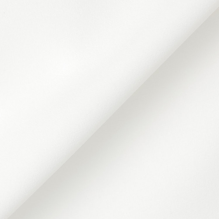 シルバーライン 【SILVER LINE/5分袖】配色タイ脱着式/ホワイト/「ウォッシャブル」「ストレッチ」「防シワ」「UV加工」「接触冷感」 白