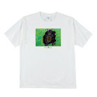 【ショコラボXスーツセレクト】アートTシャツCL-103