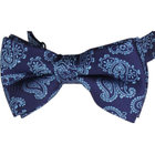 蝶ネクタイ/ネイビー×ブルーペイズリー