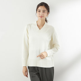 WEB限定/OUTLET】【SL】【秋冬】ウール Vネック ニットセーター/ブルー