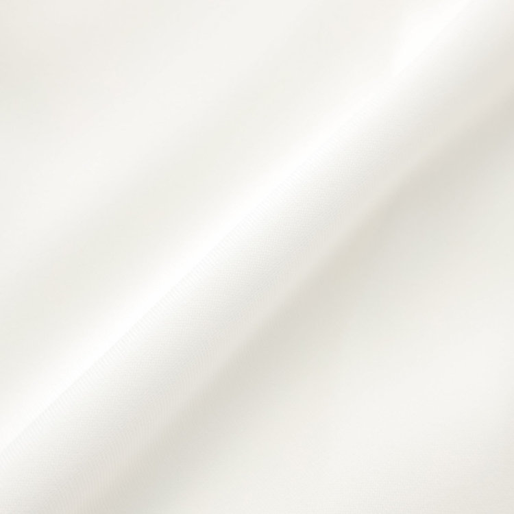 SUIT SELECT　アウトレット 【WEB限定/OUTLET/汚れ・キズ等有】【SL/長袖】バンドカラー比翼ブラウス/ホワイト 白