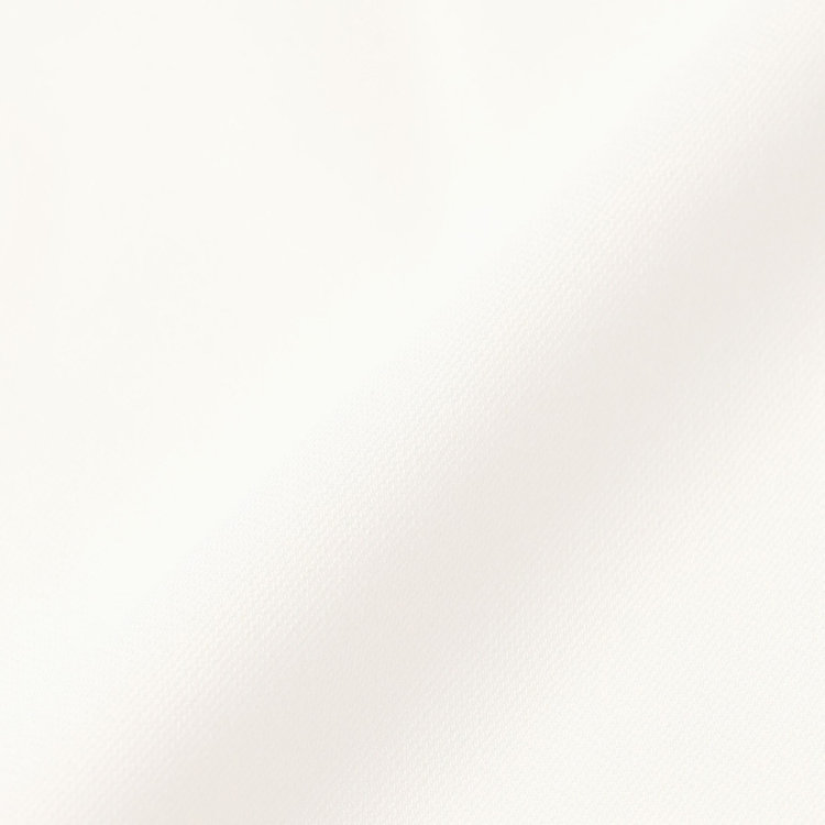 シルバーライン 【発送在庫あり】【SL/長袖】バンドカラーブラウス/ホワイト/比翼仕様 白