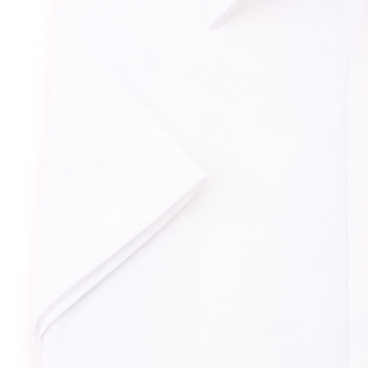 ブラックライン 【発送在庫あり】【BLACK LINE/半袖】【形態安定】レギュラーカラードレスワイシャツ/ホワイト×ソリッド 白