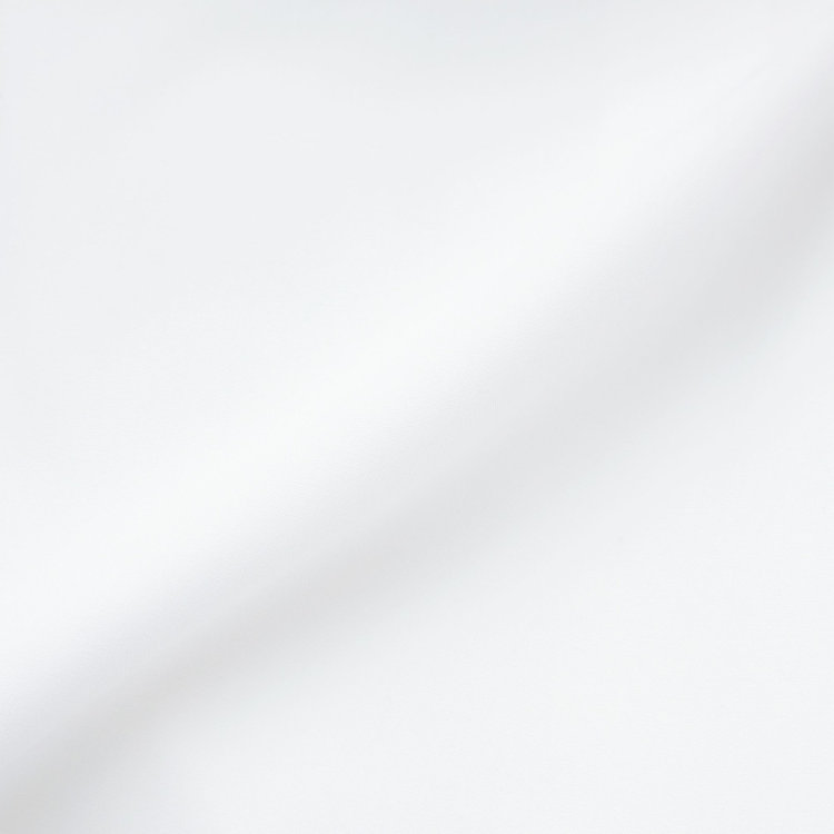 SUIT SELECT　アウトレット 【WEB限定/OUTLET/汚れ・キズ等有】【SILVER LINE/長袖】ボウタイブラウス/ホワイト 白