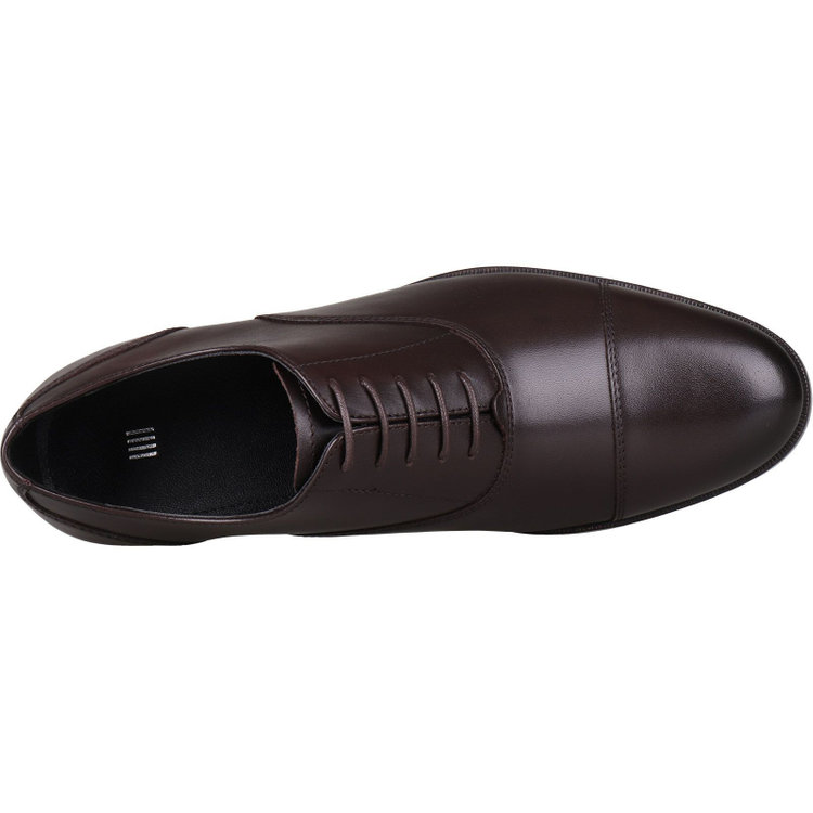 ブラックライン 【BL】ストレートチップドレスシューズ/ブラウン/牛革/マッケイ製法 ブラウン系(茶)