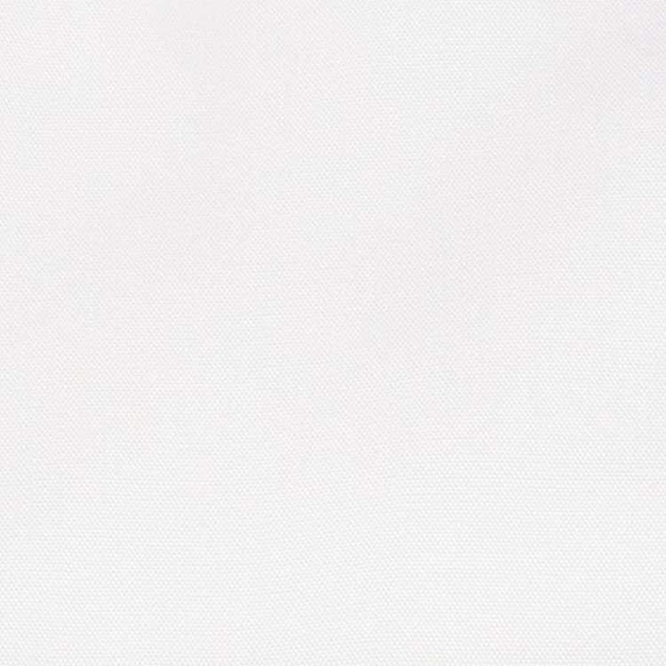 ブラックライン 【SILVER LINE】【形態安定】レギュラーカラードレスワイシャツ/ホワイト×ブロード (無地) ホワイト系(白)