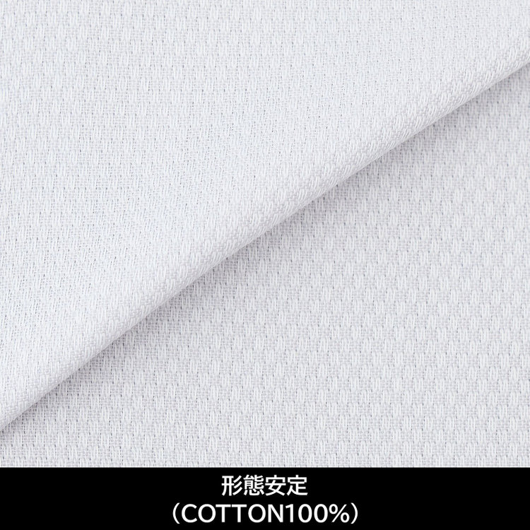 スーツセレクト 【国内縫製】【パターンオーダー】【形態安定】ワイシャツ/アイスグレー×ドビー(COTTON100%) グレー系(灰)