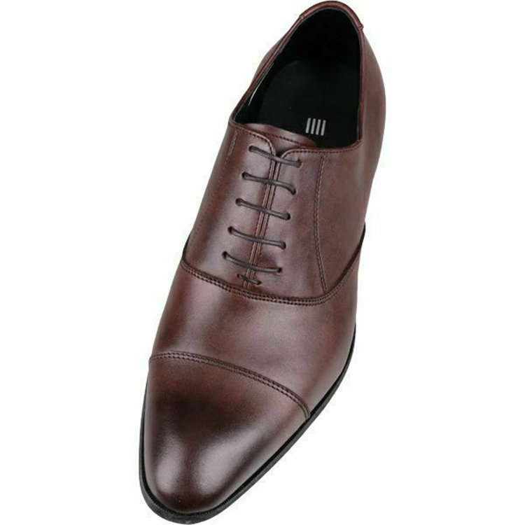 ブラックライン 【WEB限定/OUTLET】【発送在庫あり】【SL】ストレートチップ ドレスシューズ/ブラウン/ALL WEATHER (スコッチガード革)/セメント製法 ※多少のキズあり ブラウン系(茶)