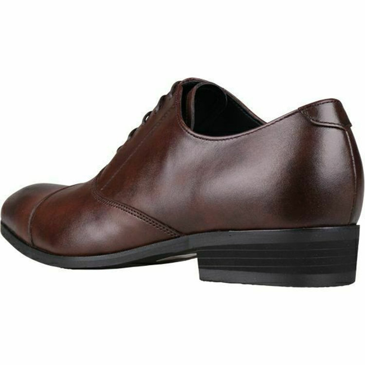 ブラックライン 【WEB限定/OUTLET】【発送在庫あり】【SL】ストレートチップ ドレスシューズ/ブラウン/ALL WEATHER (スコッチガード革)/セメント製法 ※多少のキズあり ブラウン系(茶)