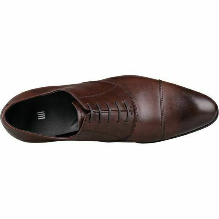 ブラックライン 【WEB限定/OUTLET】【発送在庫あり】【SL】ストレートチップ ドレスシューズ/ブラウン/ALL WEATHER (スコッチガード革)/セメント製法 ※多少のキズあり ブラウン系(茶)