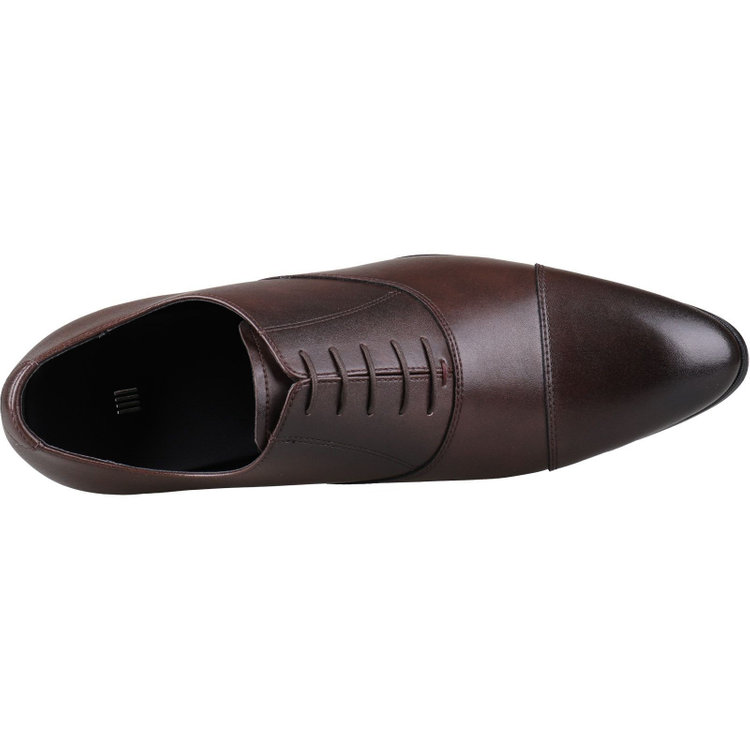 ブラックライン 【SL】ストレートチップ ドレスシューズ/ブラウン/本革 (LWG)/セメント製法/28.0㎝・29.0㎝ ブラウン系(茶)