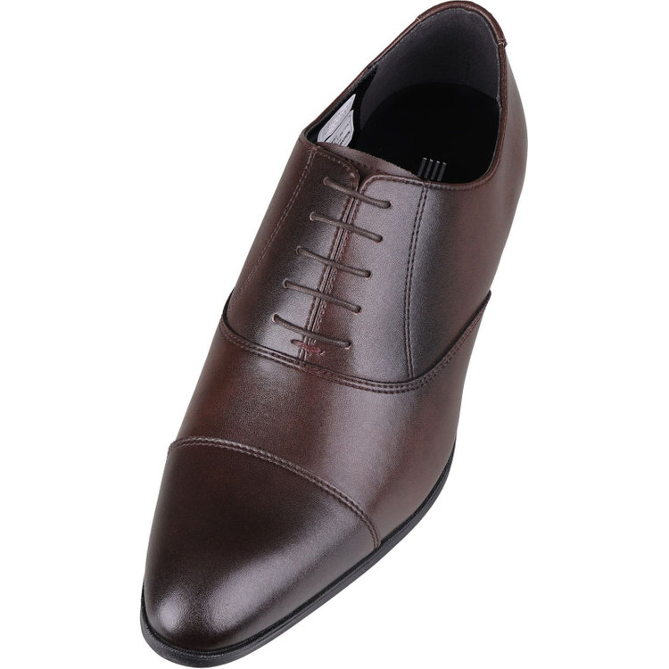 ブラックライン 【SL】ストレートチップ ドレスシューズ/ブラウン/本革 (LWG)/セメント製法 ブラウン系(茶)